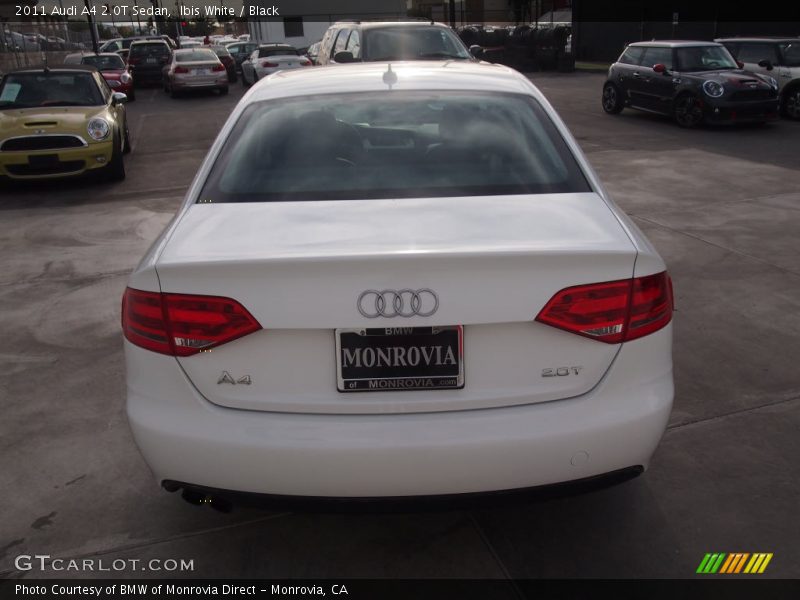 Ibis White / Black 2011 Audi A4 2.0T Sedan