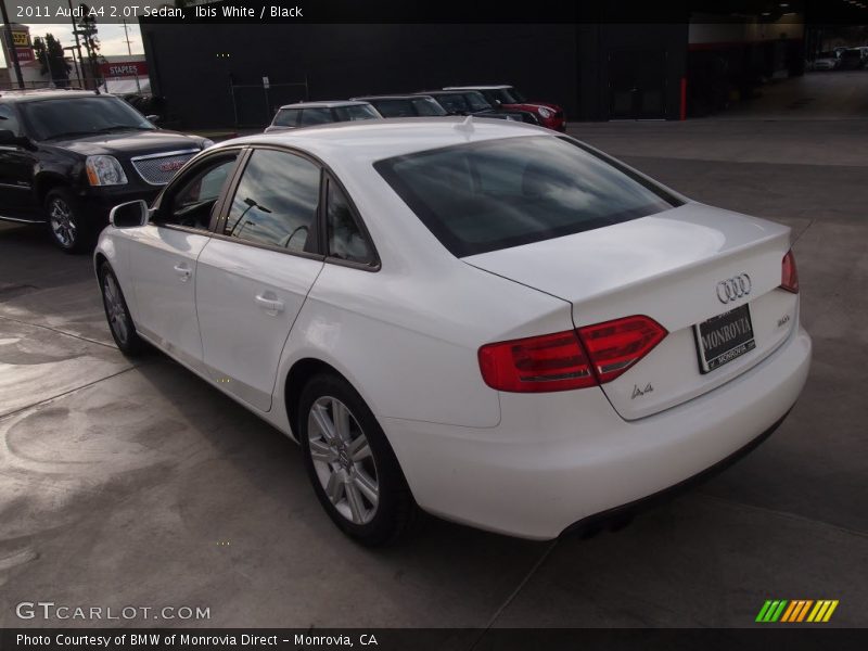 Ibis White / Black 2011 Audi A4 2.0T Sedan