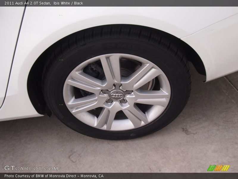 Ibis White / Black 2011 Audi A4 2.0T Sedan