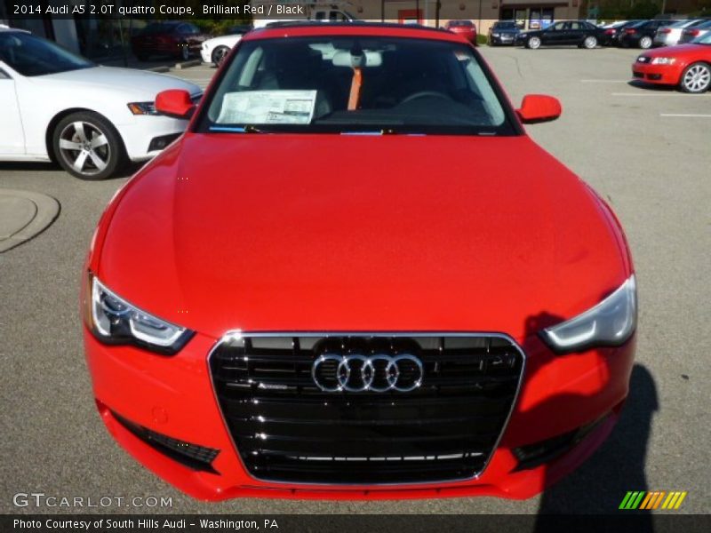 Brilliant Red / Black 2014 Audi A5 2.0T quattro Coupe