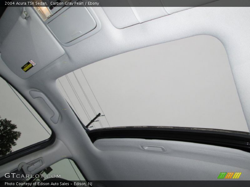 Carbon Gray Pearl / Ebony 2004 Acura TSX Sedan