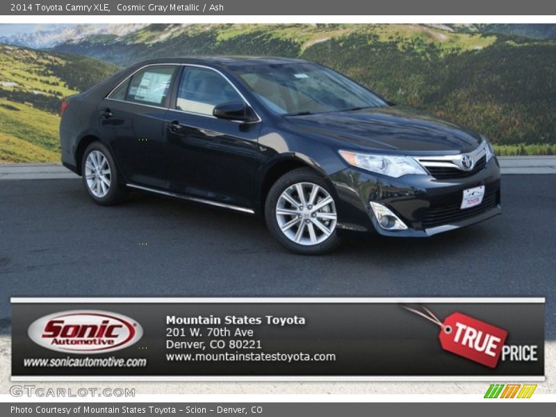 Cosmic Gray Metallic / Ash 2014 Toyota Camry XLE