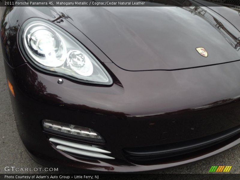 Color Sample of 2011 Panamera 4S