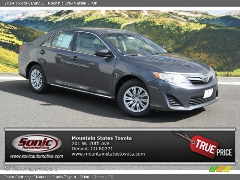 Magnetic Gray Metallic / Ash 2014 Toyota Camry LE