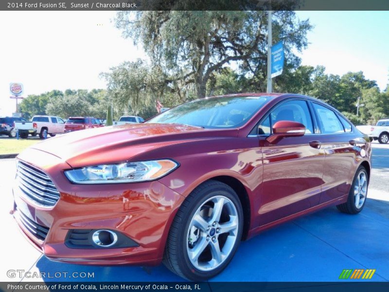 Sunset / Charcoal Black 2014 Ford Fusion SE