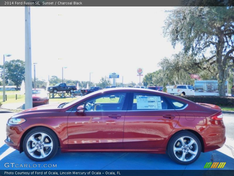 Sunset / Charcoal Black 2014 Ford Fusion SE