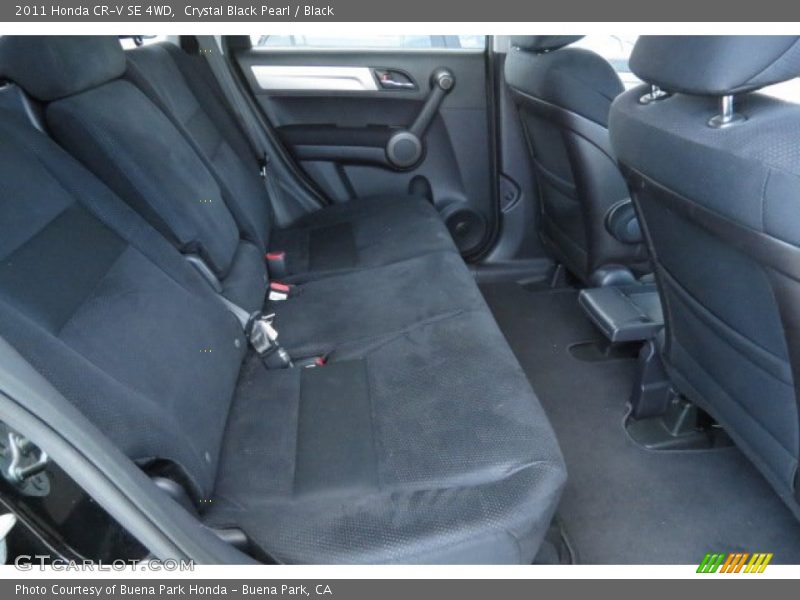 Rear Seat of 2011 CR-V SE 4WD
