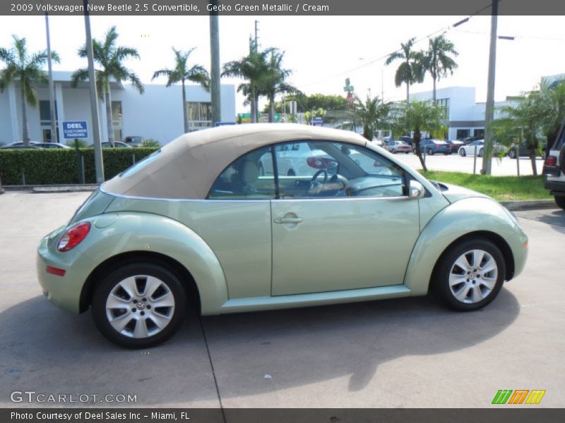 Gecko Green Metallic / Cream 2009 Volkswagen New Beetle 2.5 Convertible