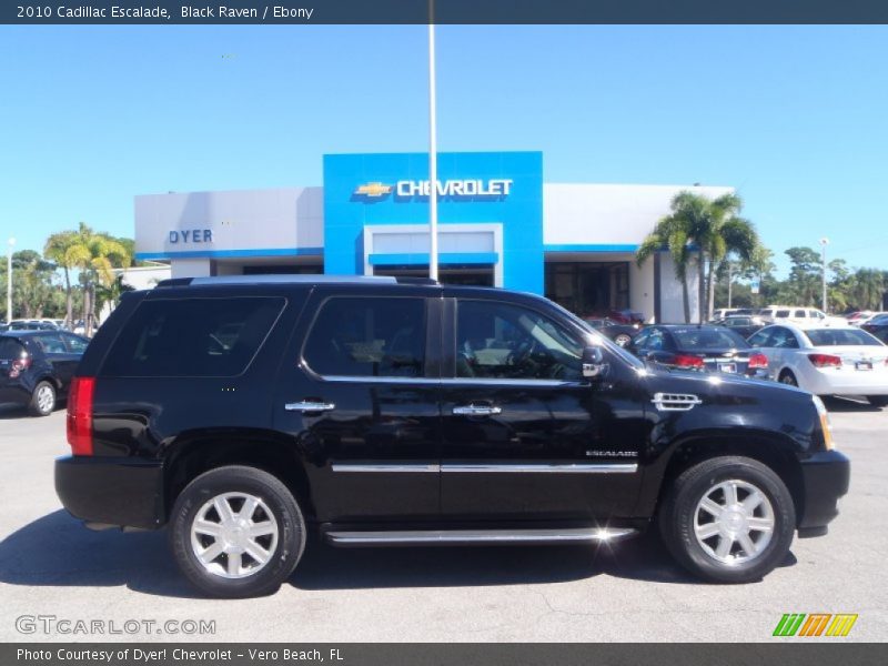 Black Raven / Ebony 2010 Cadillac Escalade