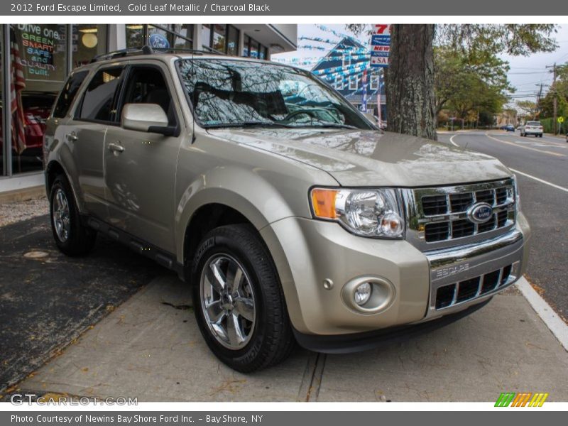 Gold Leaf Metallic / Charcoal Black 2012 Ford Escape Limited