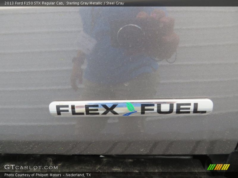 Sterling Gray Metallic / Steel Gray 2013 Ford F150 STX Regular Cab