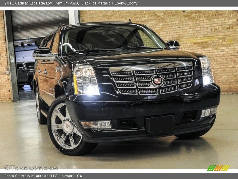 Black Ice Metallic / Ebony/Ebony 2011 Cadillac Escalade ESV Premium AWD