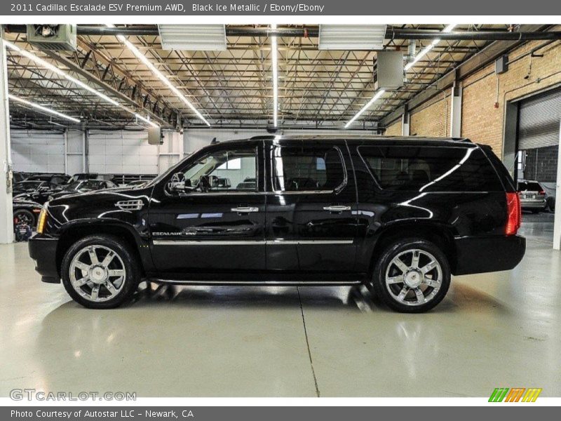Black Ice Metallic / Ebony/Ebony 2011 Cadillac Escalade ESV Premium AWD