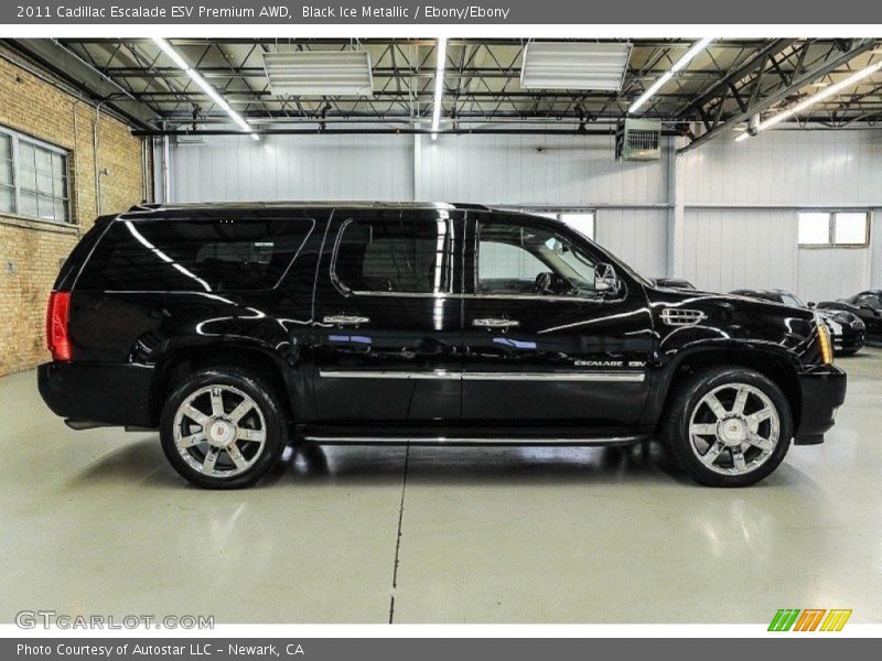 Black Ice Metallic / Ebony/Ebony 2011 Cadillac Escalade ESV Premium AWD
