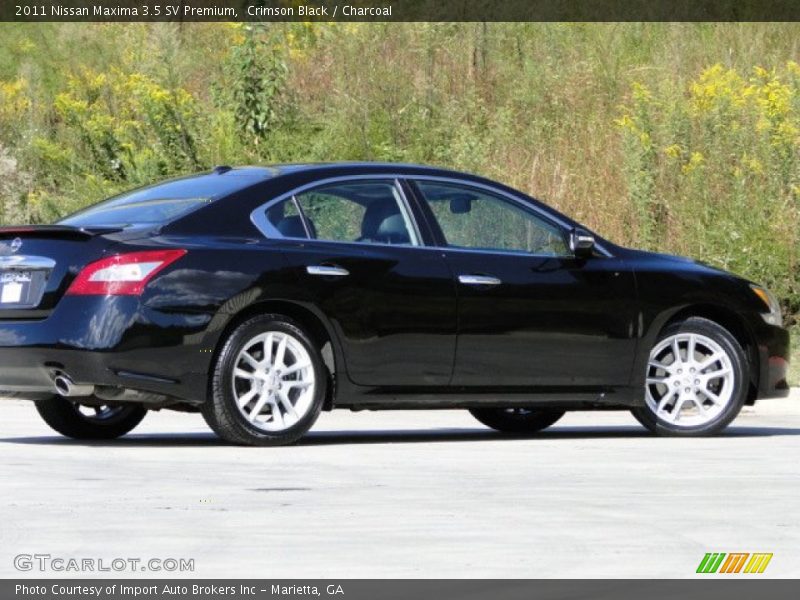 Crimson Black / Charcoal 2011 Nissan Maxima 3.5 SV Premium