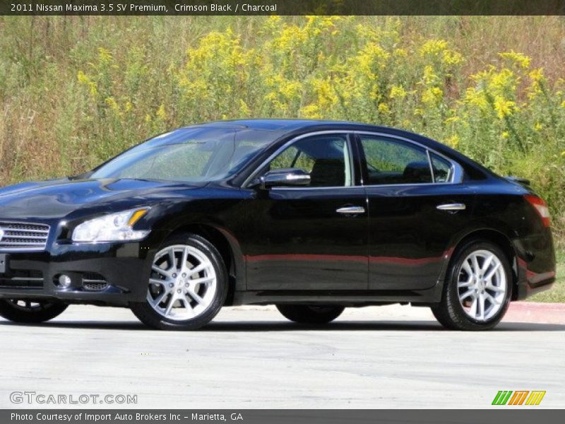 Crimson Black / Charcoal 2011 Nissan Maxima 3.5 SV Premium