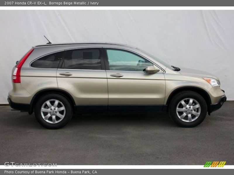 Borrego Beige Metallic / Ivory 2007 Honda CR-V EX-L