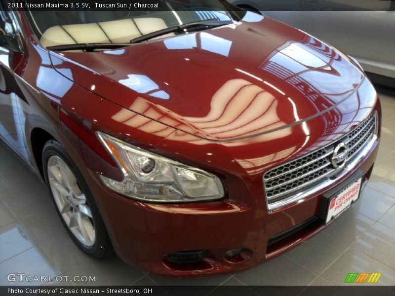 Tuscan Sun / Charcoal 2011 Nissan Maxima 3.5 SV