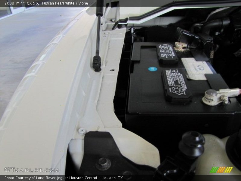 Tuscan Pearl White / Stone 2008 Infiniti QX 56