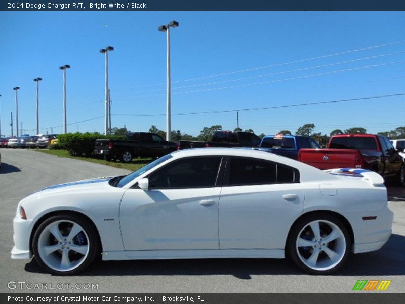  2014 Charger R/T Bright White