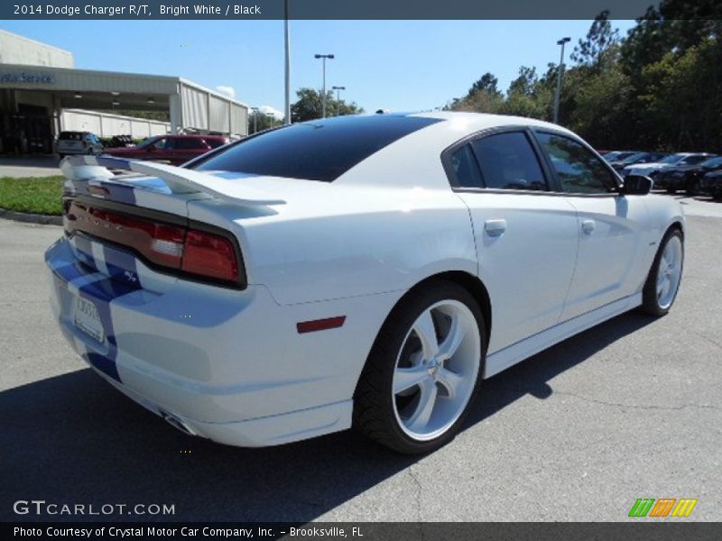 Bright White / Black 2014 Dodge Charger R/T