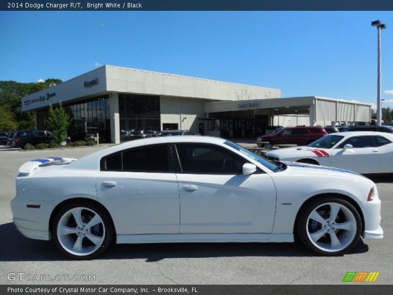 Bright White / Black 2014 Dodge Charger R/T