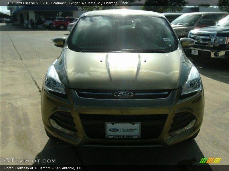 Ginger Ale Metallic / Charcoal Black 2013 Ford Escape SEL 2.0L EcoBoost