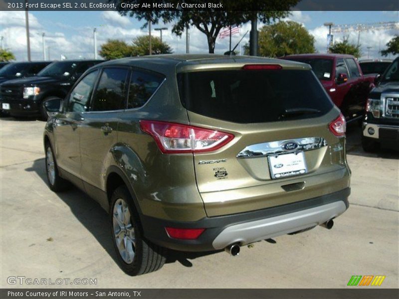 Ginger Ale Metallic / Charcoal Black 2013 Ford Escape SEL 2.0L EcoBoost