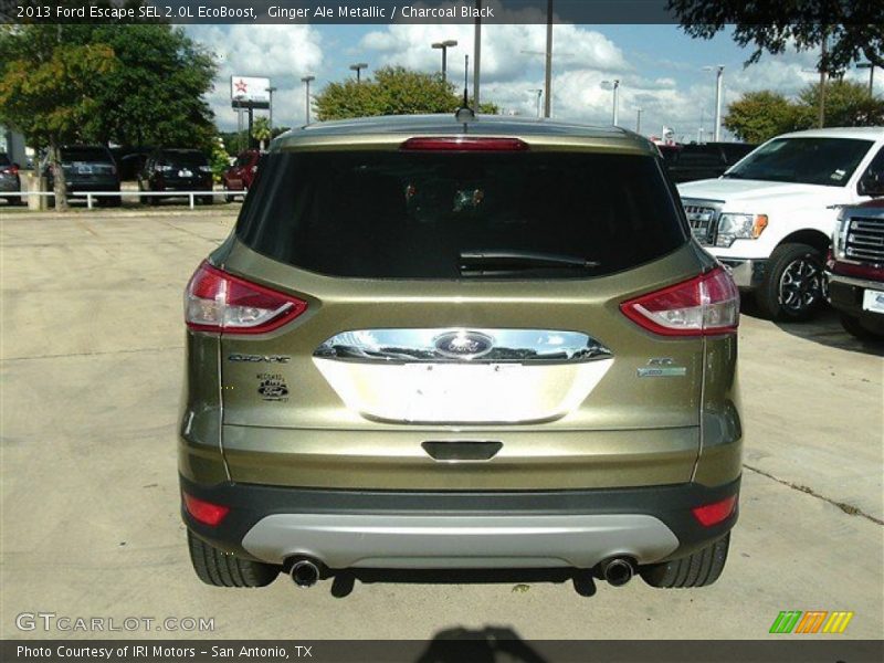 Ginger Ale Metallic / Charcoal Black 2013 Ford Escape SEL 2.0L EcoBoost
