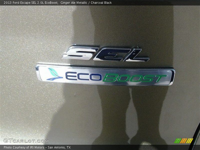 Ginger Ale Metallic / Charcoal Black 2013 Ford Escape SEL 2.0L EcoBoost