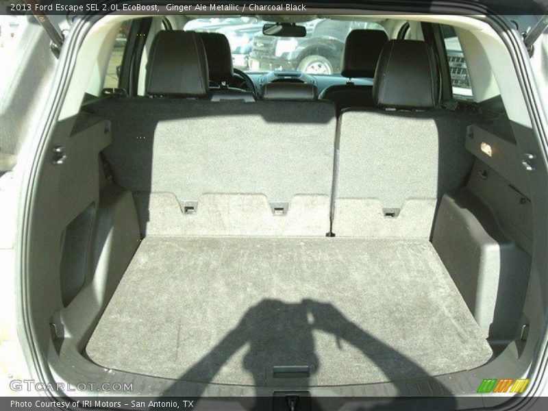Ginger Ale Metallic / Charcoal Black 2013 Ford Escape SEL 2.0L EcoBoost