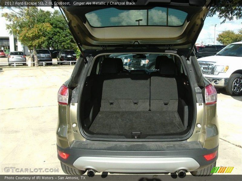 Ginger Ale Metallic / Charcoal Black 2013 Ford Escape SEL 2.0L EcoBoost