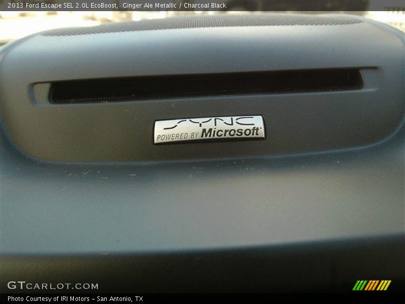 Ginger Ale Metallic / Charcoal Black 2013 Ford Escape SEL 2.0L EcoBoost