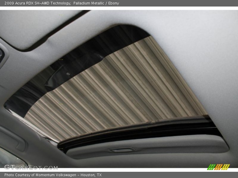 Palladium Metallic / Ebony 2009 Acura RDX SH-AWD Technology