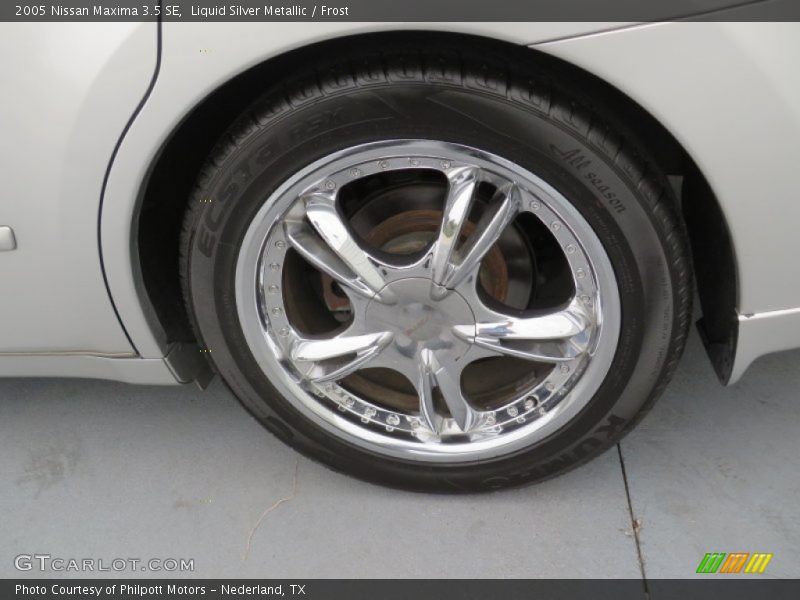 Liquid Silver Metallic / Frost 2005 Nissan Maxima 3.5 SE