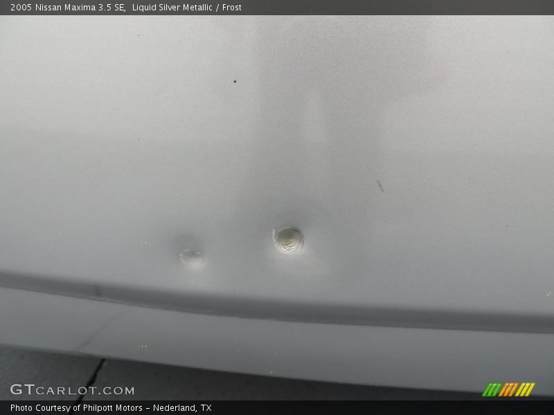 Liquid Silver Metallic / Frost 2005 Nissan Maxima 3.5 SE