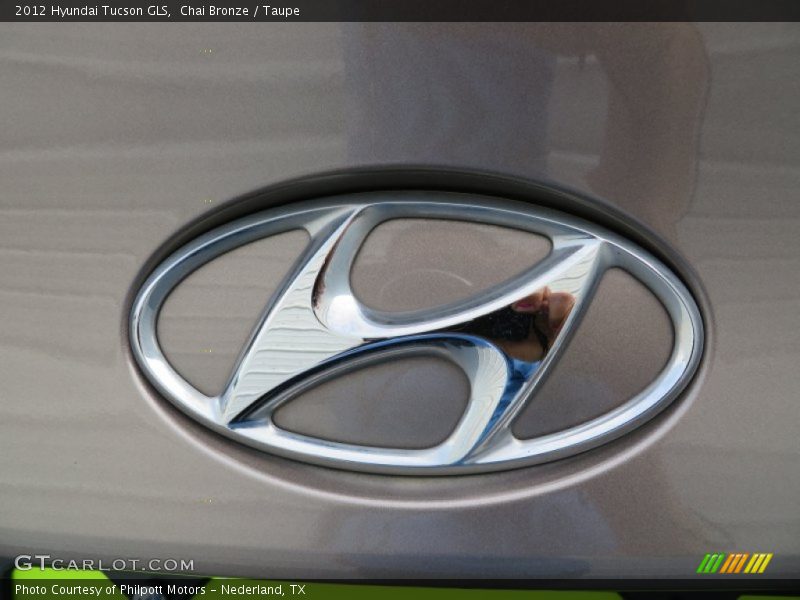 Chai Bronze / Taupe 2012 Hyundai Tucson GLS