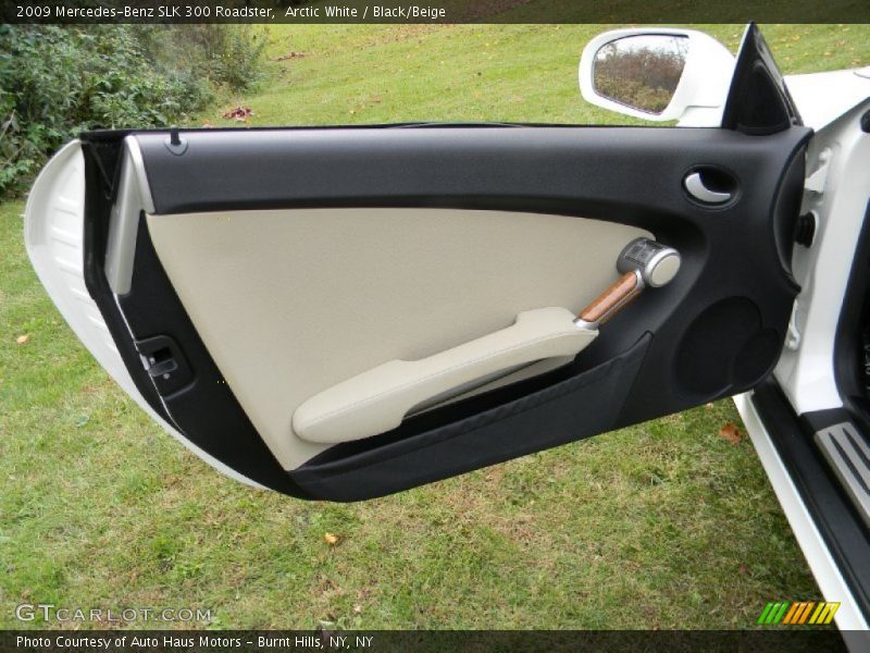 Door Panel of 2009 SLK 300 Roadster