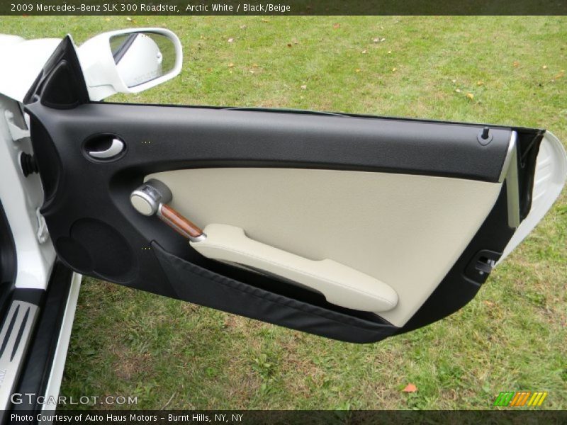 Door Panel of 2009 SLK 300 Roadster