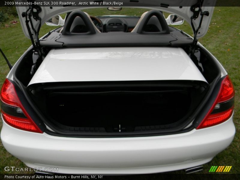 Arctic White / Black/Beige 2009 Mercedes-Benz SLK 300 Roadster