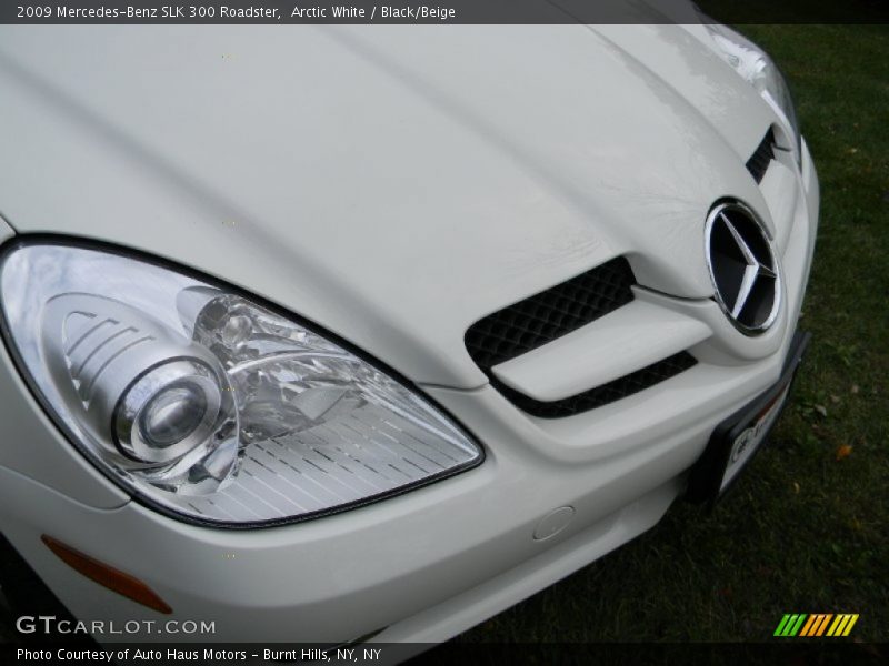 Arctic White / Black/Beige 2009 Mercedes-Benz SLK 300 Roadster