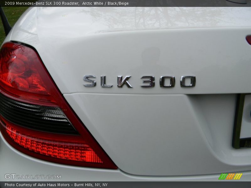  2009 SLK 300 Roadster Logo