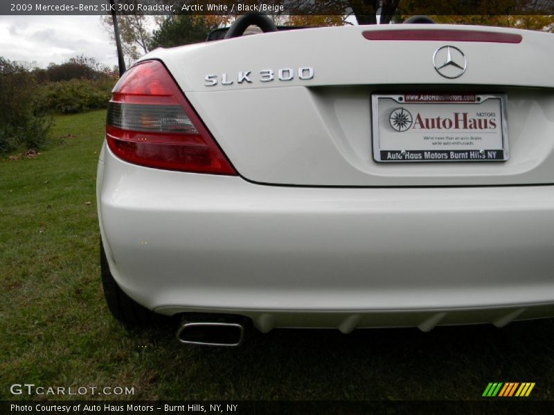 Arctic White / Black/Beige 2009 Mercedes-Benz SLK 300 Roadster