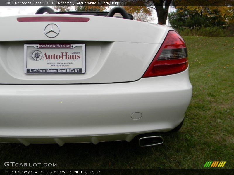 Arctic White / Black/Beige 2009 Mercedes-Benz SLK 300 Roadster