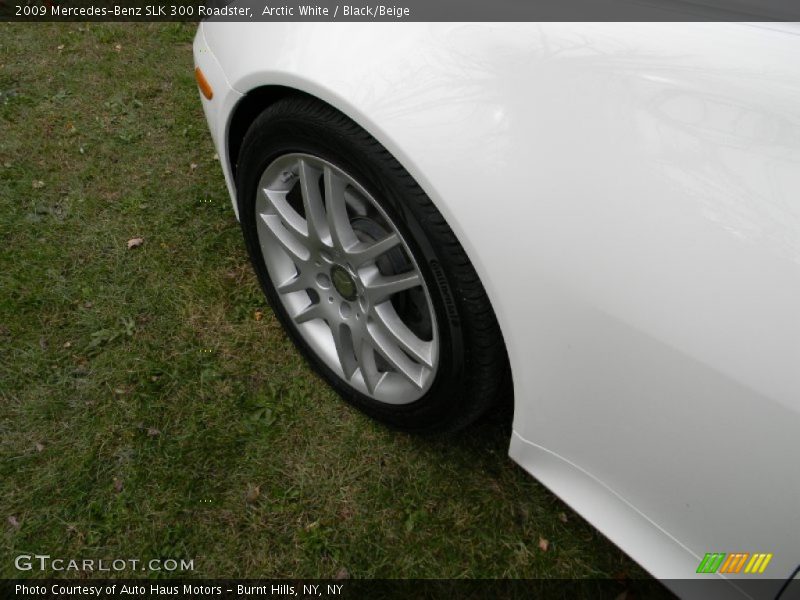 Arctic White / Black/Beige 2009 Mercedes-Benz SLK 300 Roadster