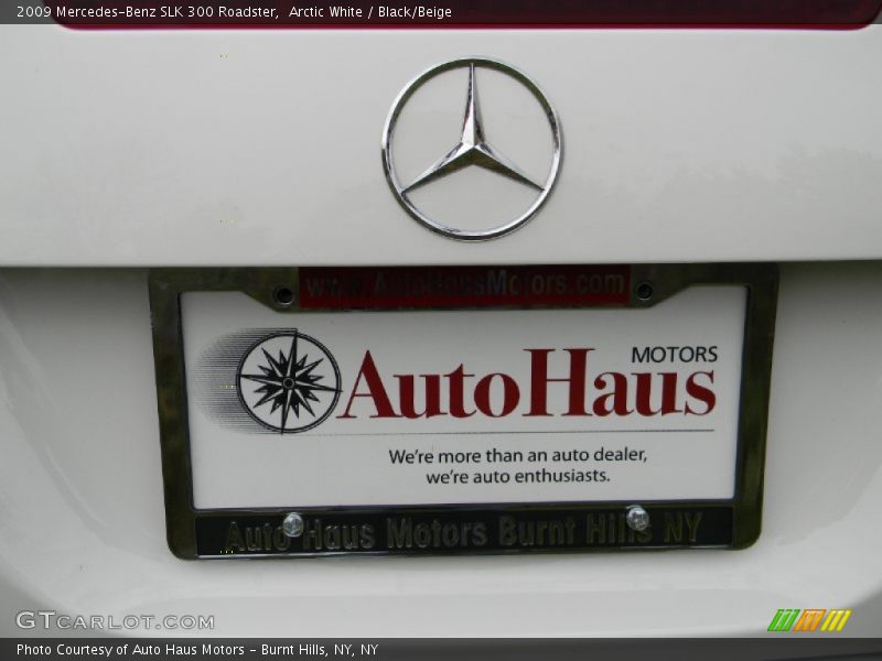 Arctic White / Black/Beige 2009 Mercedes-Benz SLK 300 Roadster