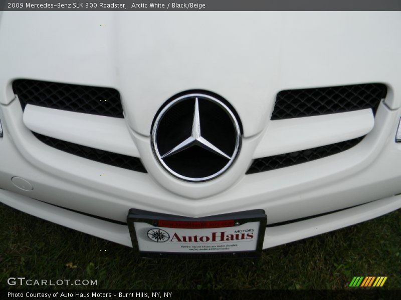 Arctic White / Black/Beige 2009 Mercedes-Benz SLK 300 Roadster