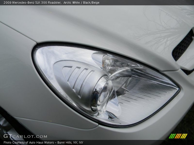 Arctic White / Black/Beige 2009 Mercedes-Benz SLK 300 Roadster