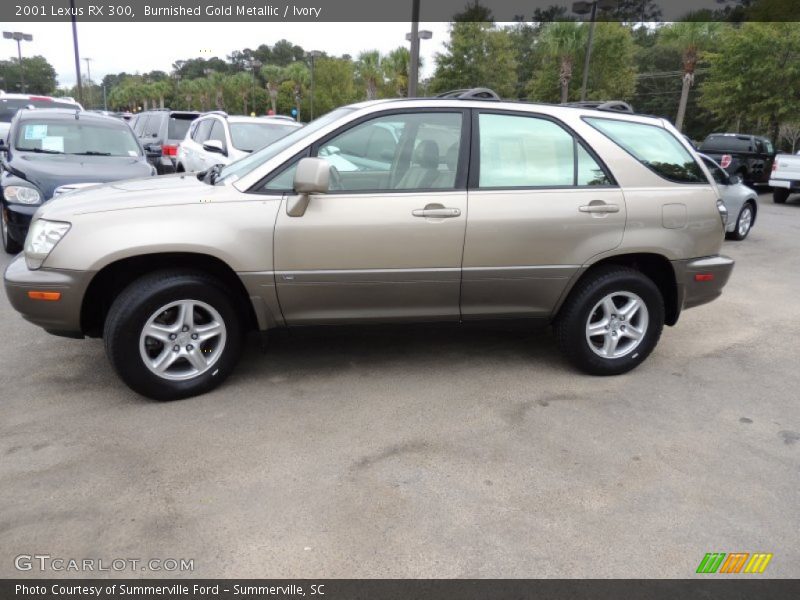  2001 RX 300 Burnished Gold Metallic