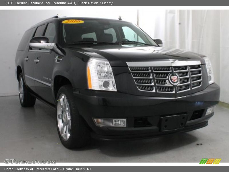 Black Raven / Ebony 2010 Cadillac Escalade ESV Premium AWD